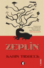 Zeplin - Karin Tidbeck E-Kitap İndir